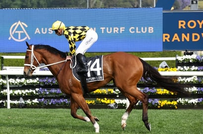 Verry Elleegant Stakes 2026 Betting Odds - Autumn Glow Dominates Early Betting