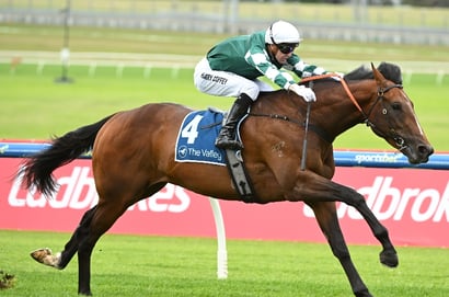 Vic Derby Odds