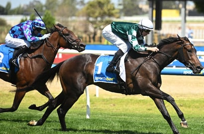 Vinery Stud Stakes 2025 Betting Odds - Treasurethe Moment is an odds-on favourite
