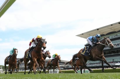 Vinery Stud Stakes 2026 Betting Odds - Ohope Wins Heads the Betting