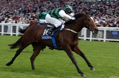 Winterbottom Stakes: The Race That Made Global Stars