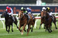 Wagga Tips for 02.05.2025