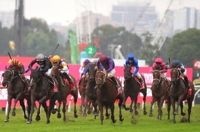 Wagga Tips for 05.06.2025