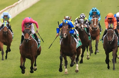 Wagga Tips for 29.07.2025