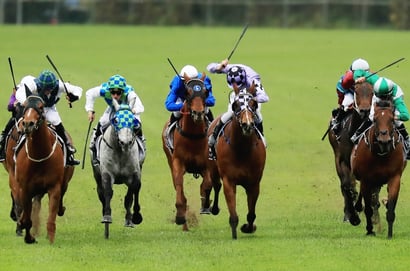 Wagga tips - 27/08