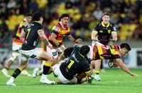 Waikato NPC rugby