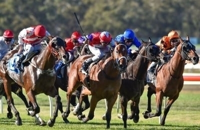 Wangaratta Tips
