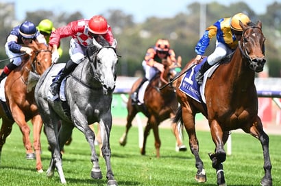 Wangaratta Tips for 15.05.2025