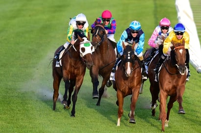 Wangaratta tips - 18.01