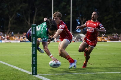 New Zealand Warriors vs Dolphins NRL Round 8 Tips & Prediction - Warriors too good for fatigued Phins