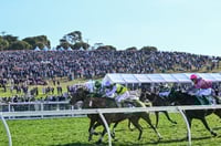 Warrnambool Tips for 01.05.2025