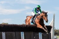 Warrnambool Tips for 06.07.2025