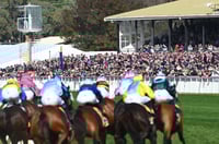 Warrnambool Tips for 29.04.2025