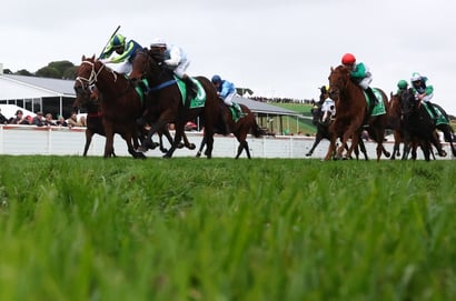 Warrnambool Racing Tips for October 1 – Black Peppermint the one to beat over the 3100m in Race 2