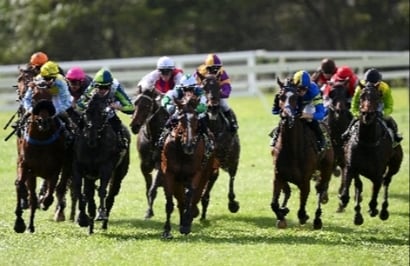 Warrnambool tips - 30/11
