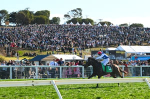 Warrnambool tips for 07.05.2026