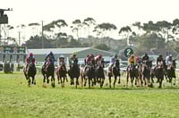 Warrnambool tips for 24.07.2025