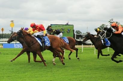 Warwick Farm Horse Racing