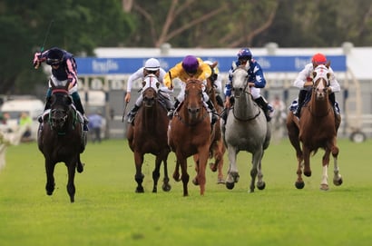 Warwick Farm Horse Racing