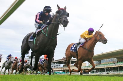 Warwick Farm Horse Racing