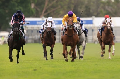 Warwick Farm Horse Racing
