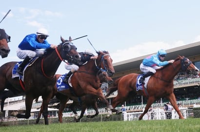 Warwick Farm Tips for 05.03.2025