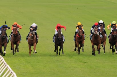 Warwick Farm Tips for 21.05.2025