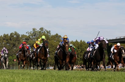 Warwick Farm tips for 01.04.2026