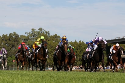 Warwick Farm tips for 02.09.2026