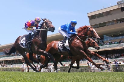 Warwick Farm tips for 04.03.2026
