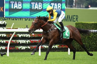 Magic Millions 2YO Classic Tips – Warwoven primed, but does Waterhouse have an ace up her sleeve?
