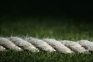 Watch cricket live online (Getty Images)