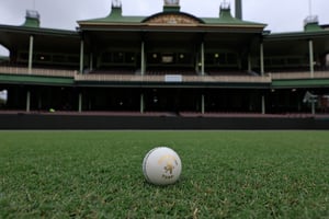 Watch cricket online (Getty Images)