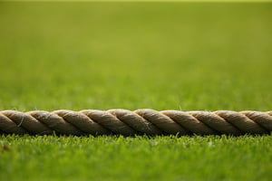 Watch cricket online (Getty Images)