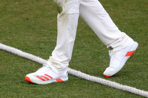 Watch cricket online (Getty Images)