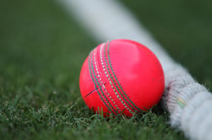 Watch cricket online (Getty Images)