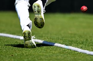 Watch cricket online (Getty Images)