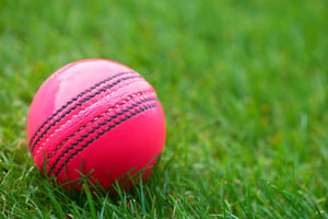 Watch cricket online (Getty Images)
