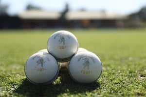 Watch cricket online (Getty Images)