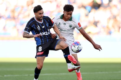Wellington Auckland A-League
