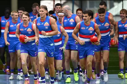 Western Bulldogs