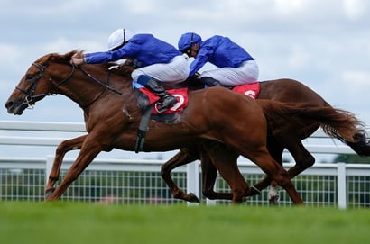 Bet365 Super Boost - Get boosted odds on EITHER Words Of Truth or Military Code to win the Scurry Stakes