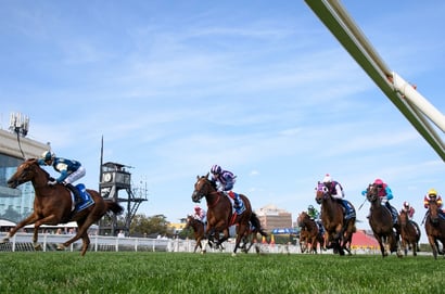 William Reid Stakes 2025 Betting Odds - Jimmysstar has firmed