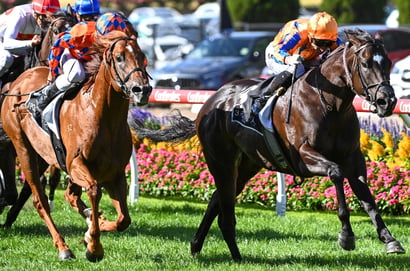 William Reid Stakes Tips - She’s Bulletproof to thrive at the Valley in William Reid Stakes