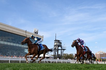 William Reid 2025 Betting Tips - Will Jimmysstar handle The Valley?