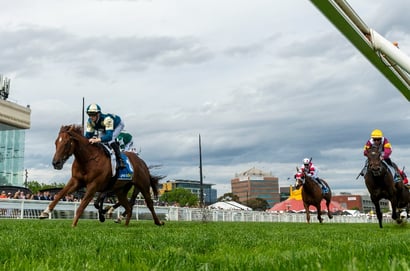 William Reid Stakes 2026 Betting Odds - Jimmysstar a Firm Market Elect