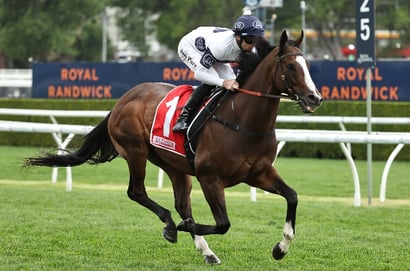 Winterbottom Stakes 2025 Betting Odds - Jokers Grin Favoured Ahead of Overpass & Luana Miss