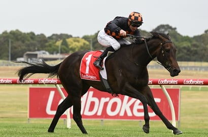 Winterbottom Stakes 2025 - Barrier Draw & Final Field