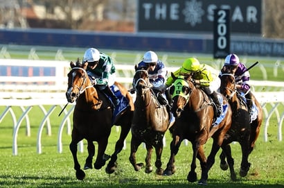Winx Stakes Tips