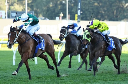 Winx Stakes Tips - Gringotts to cause minor upset in Winx Stakes as Heavy track looms